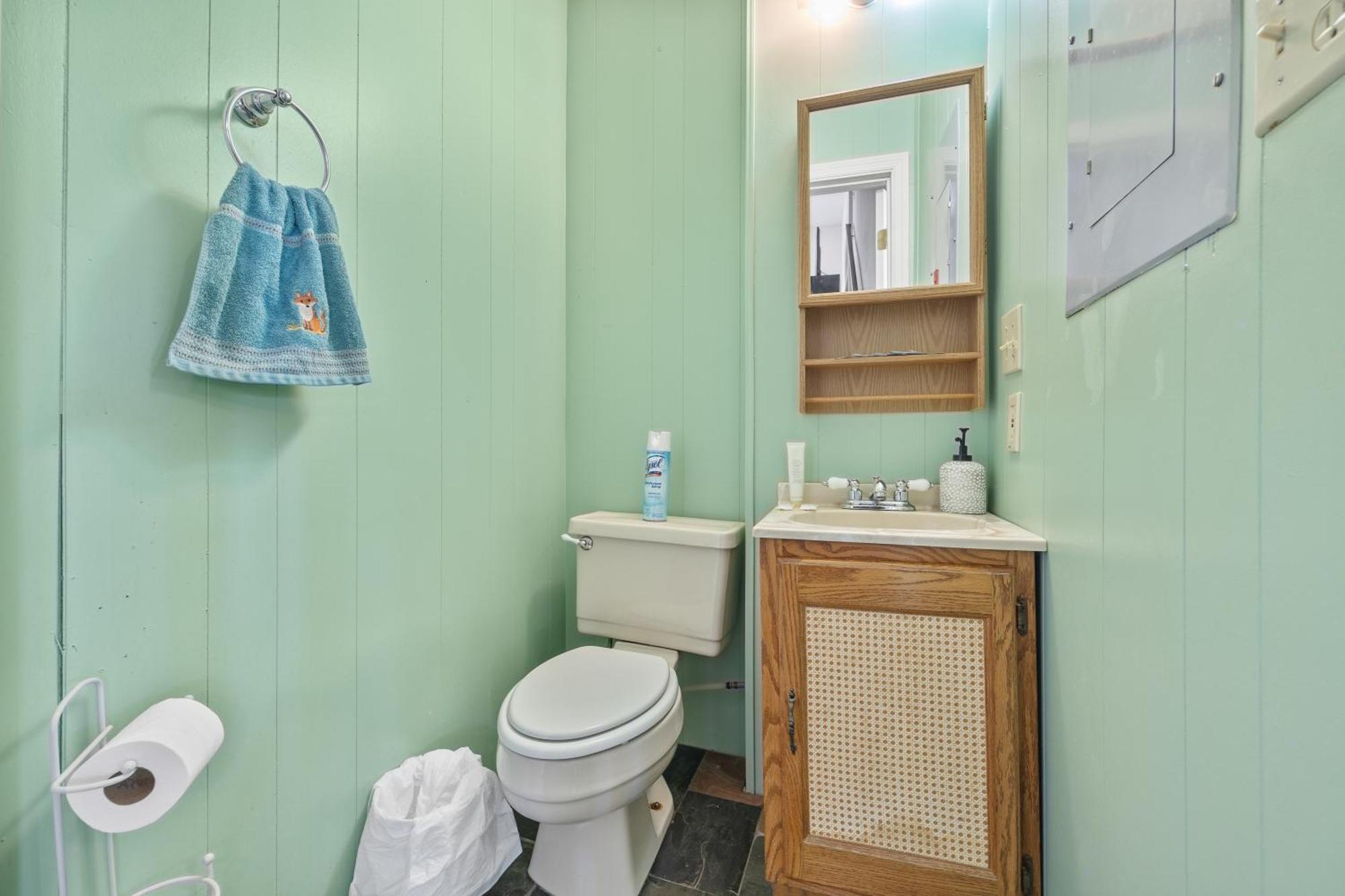Family House With Lake Access Soaking Tub & Wi-Fi 格林斯伯勒 外观 照片